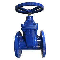 GOST NRS/OS&Y Resilient Seat Gate Valve